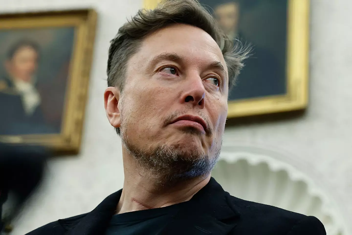 Musk had a one word reply to an article detailing his 'decline.' (Chip Somodevilla/Staff/Getty)