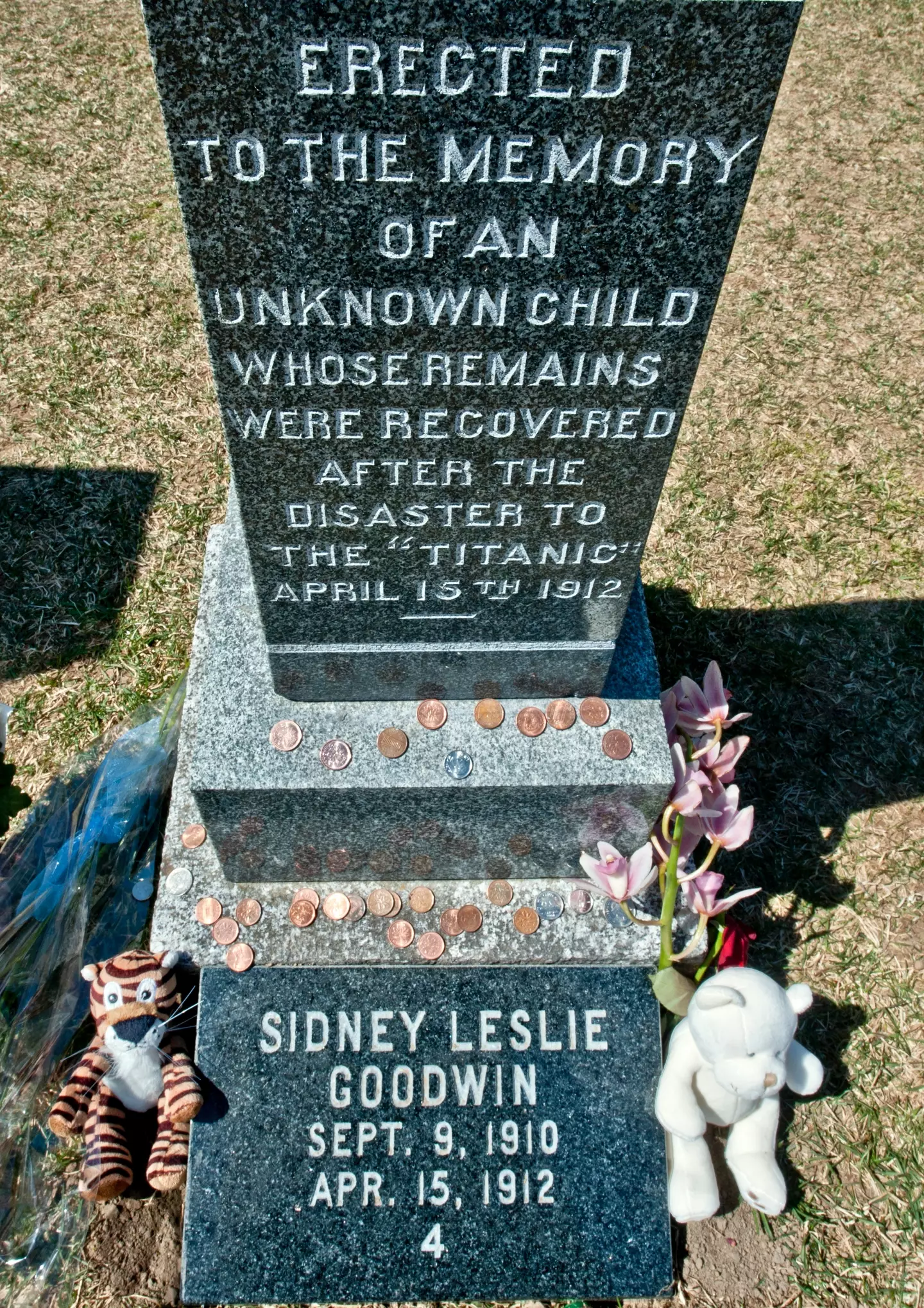 Sidney's gravestone now has his name (ROGERIO BARBOSA/AFP via Getty Images)