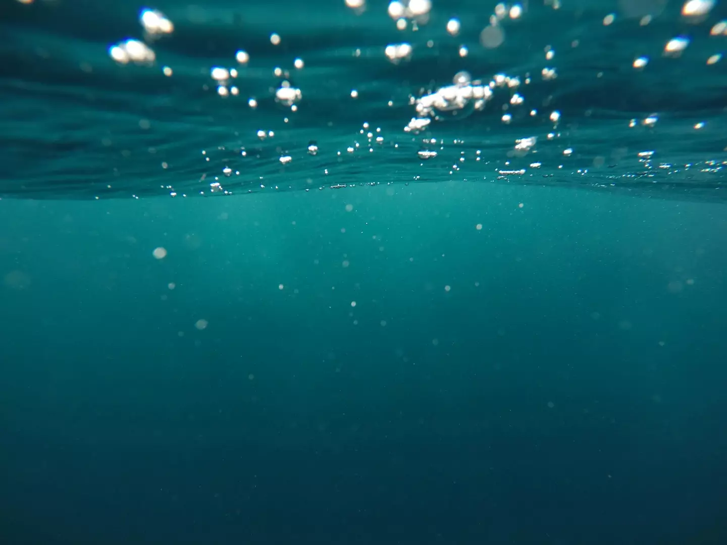 Jeremy Bishop/Unsplash