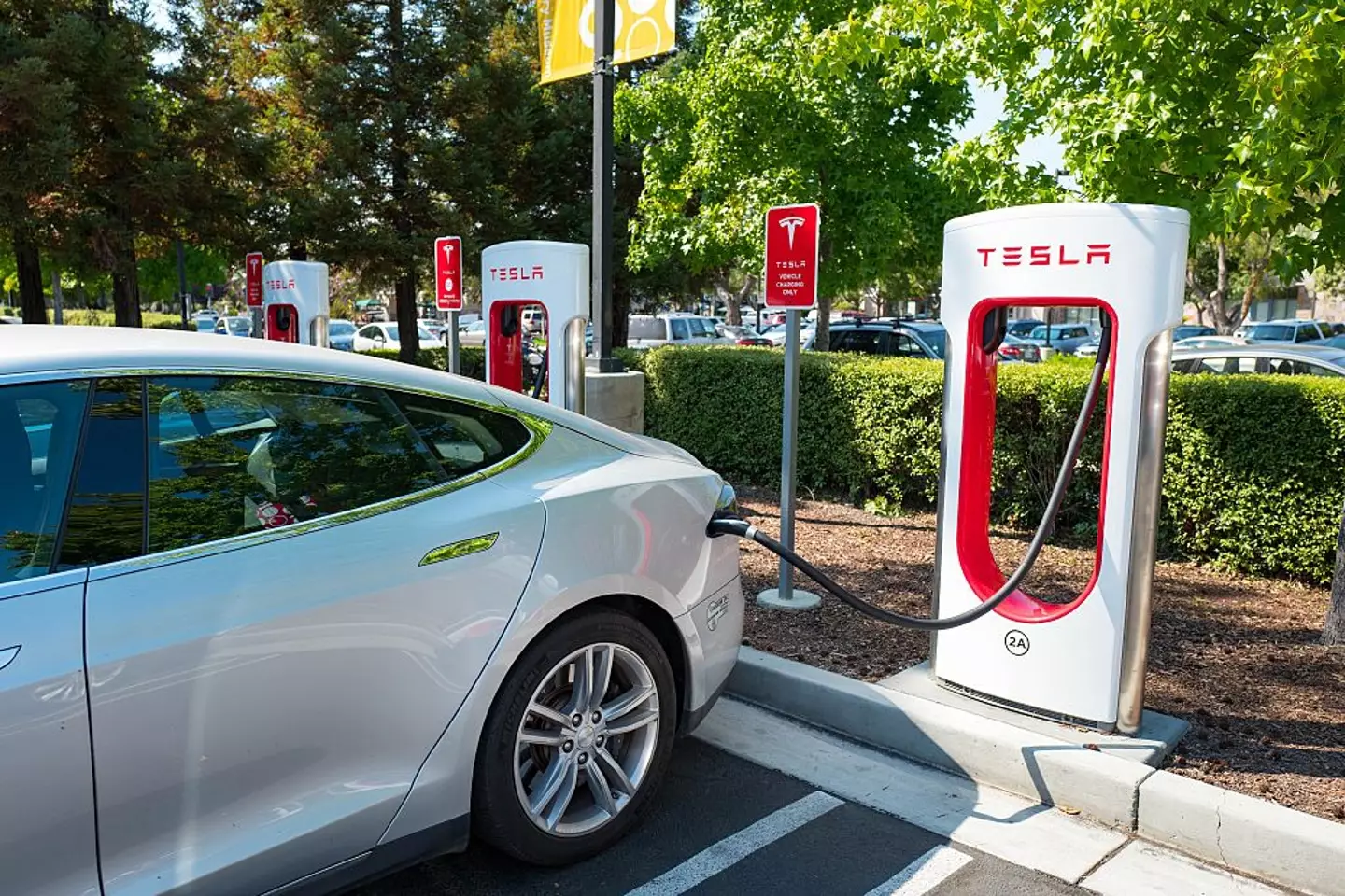 The new discovery offers over double the efficiency of Tesla's most powerful battery (Smith Collection/Gado/Getty Images)