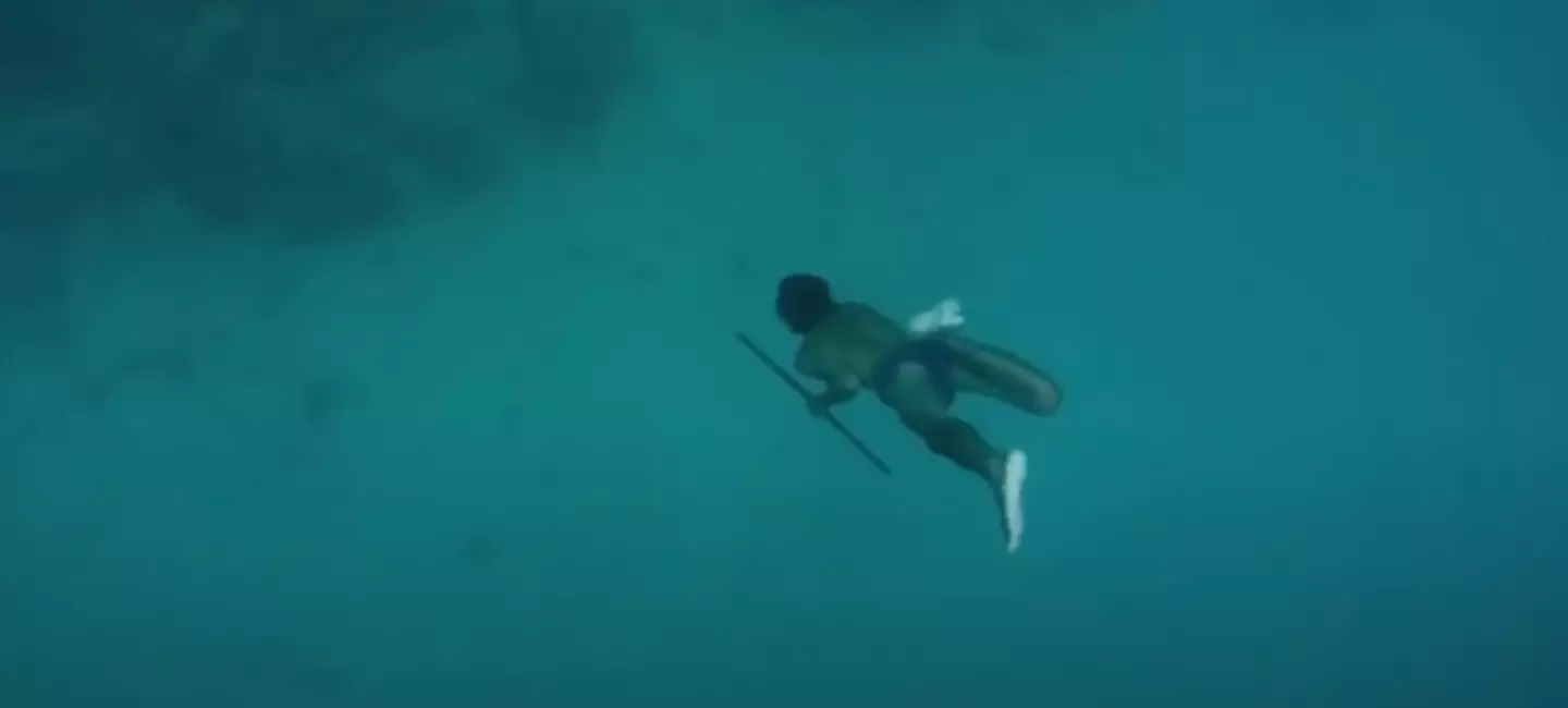 The tribe have unusually large spleens that enable them to stay submerged for long periods of time (BBC)
