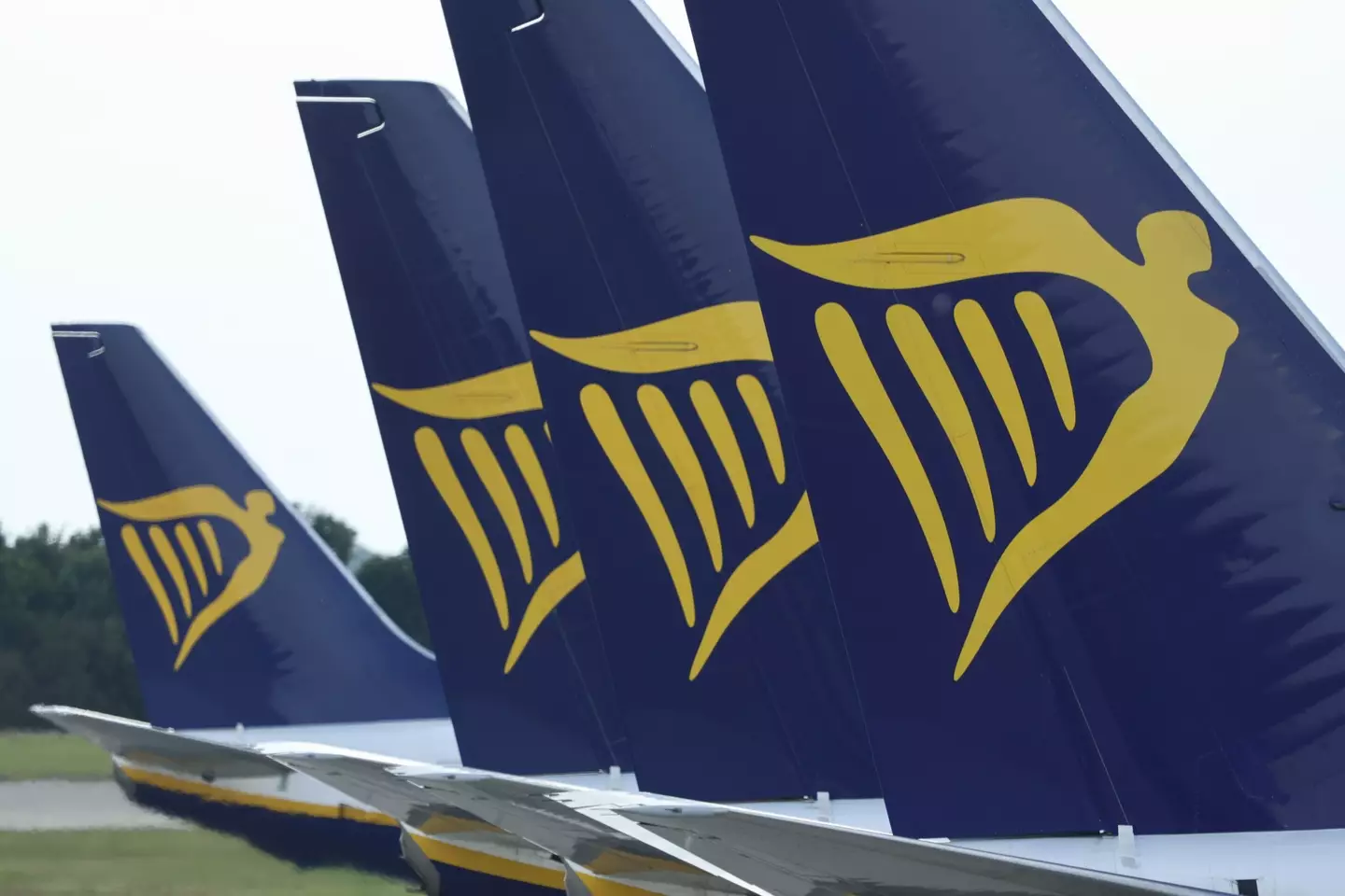 Ryanair has reiterated its zero-tolerance policy when it comes to passenger misconduct (NurPhoto / Contributor / Getty)