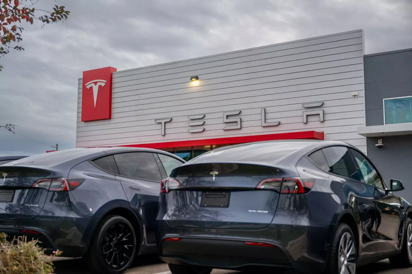 Tesla has received backlash for its CEO's involvement with Trump (Brandon Bell/Getty Images)
