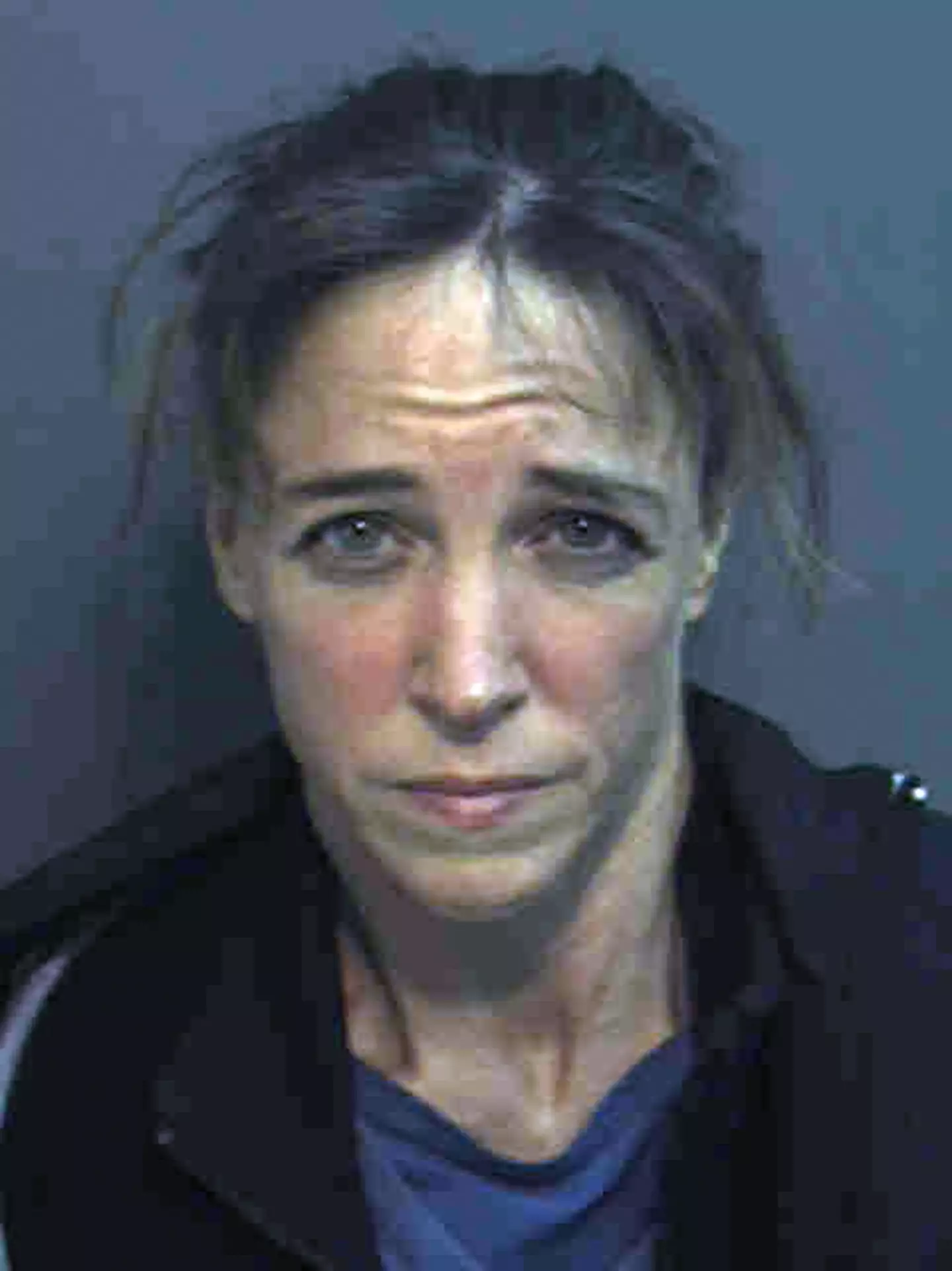 Nowak was charged with attempted murder and kidnapping but took a plea deal for a reduced charge of burglary and misdemeanor battery (Orange County Jail via Getty Images)