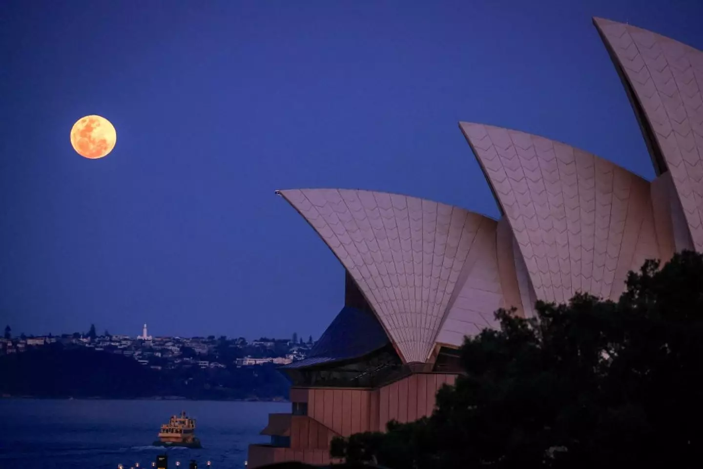 The moon looks different depending where you are in the world (DAVID GRAY/AFP via Getty Images)