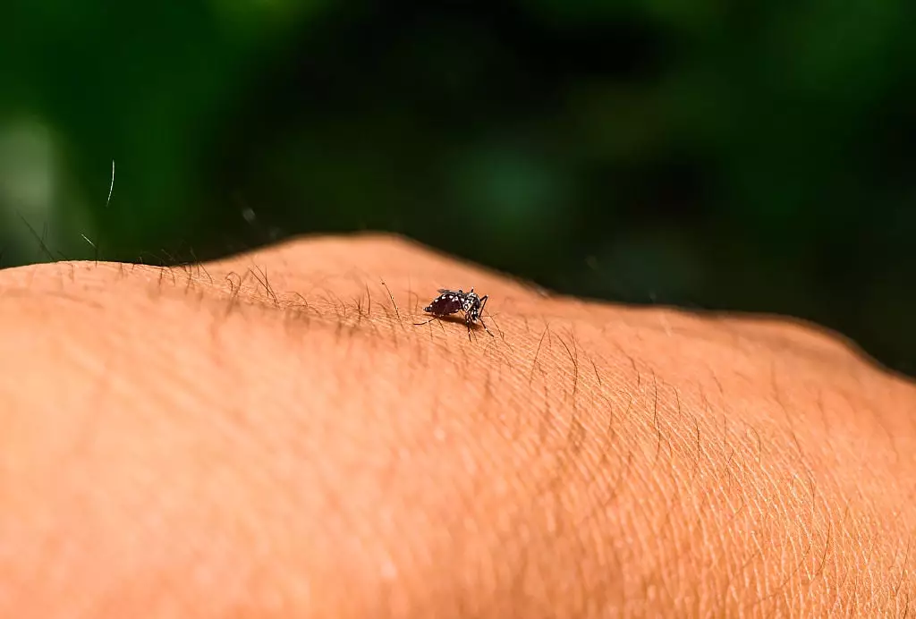 The chikungunya virus is spreading across China (NurPhoto / Contributor / Getty)