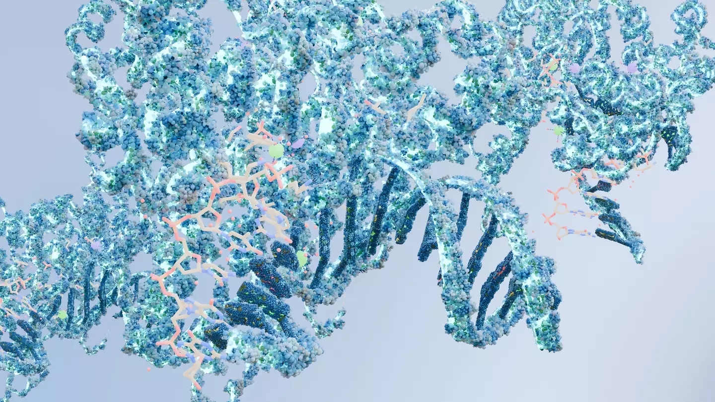 It stems from damage to the TP53 gene, which plays a key role in preventing the development of cancer (Getty Stock)