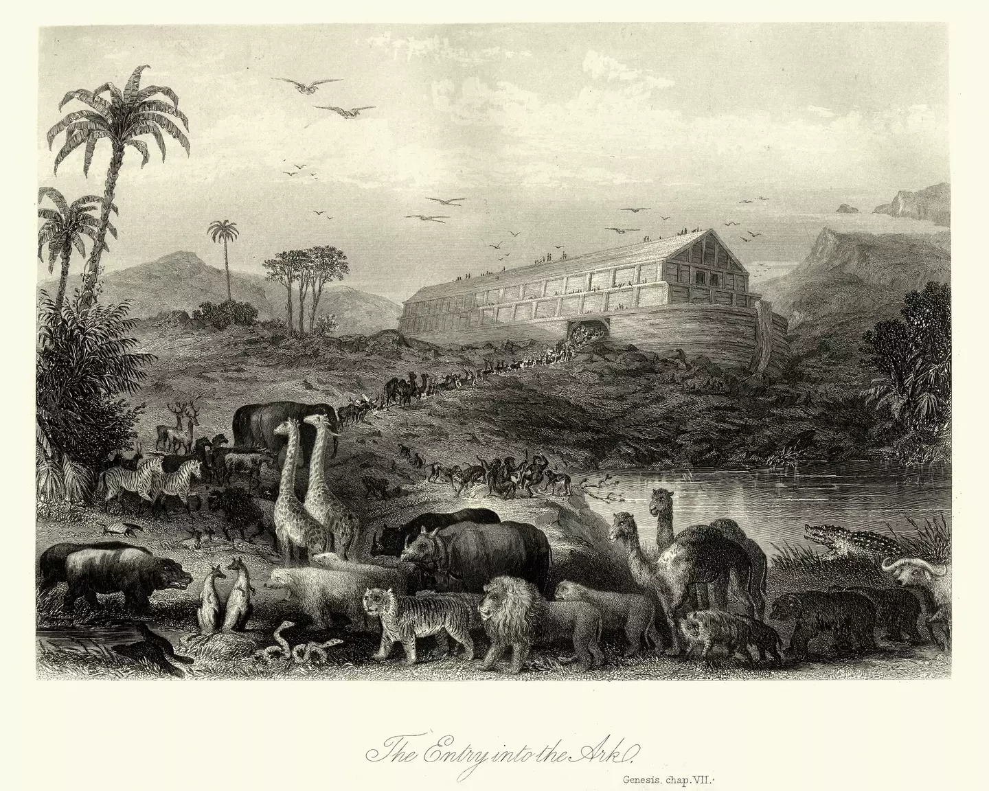 Vintage engraving of The Animals entering Noah's Ark, Genesis (duncan1890/Getty)