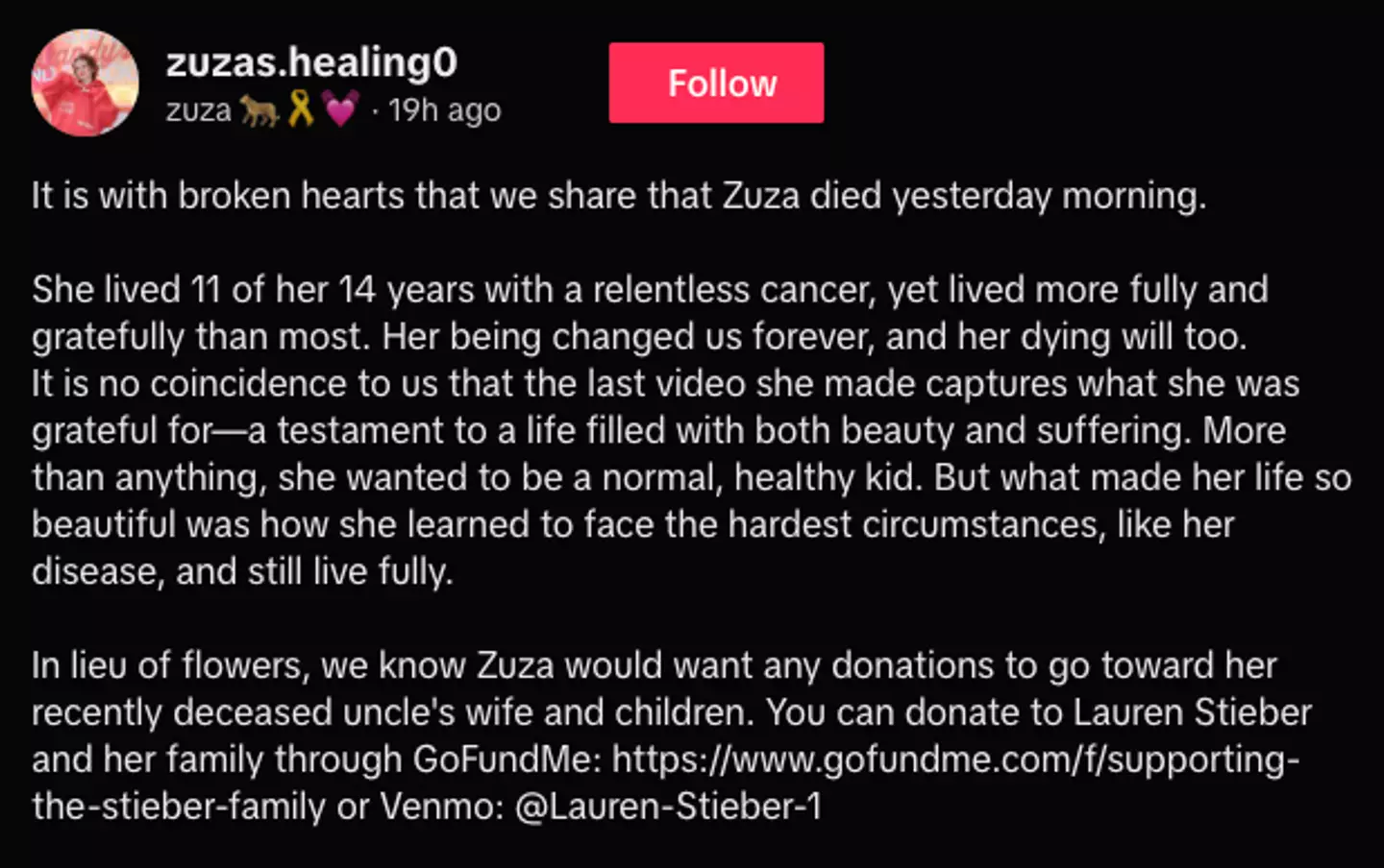 Zuza Beine's family released a statement following the tragic death of the 14-year-old social media star (TikTok/zuzas.healing0)