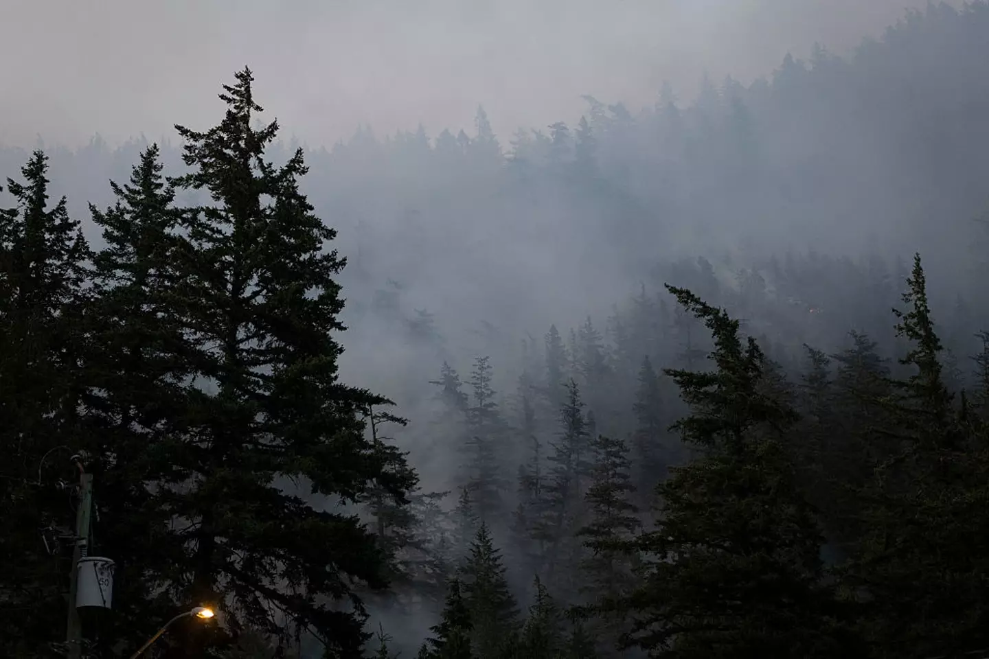 Toxic gases produced by wildfires in Canada have traveled significant distances and could cause harm (Nav Rahi/AFP via Getty Images)