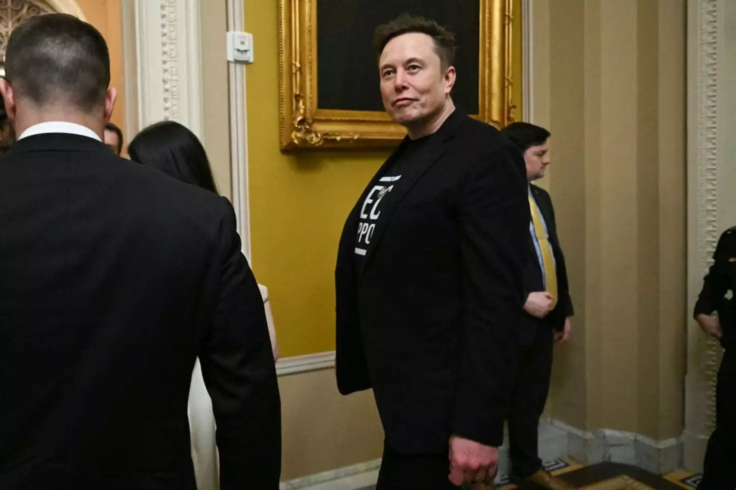 Musk has filed an appeal after his claim to an 'unfathomable' Tesla pay package was denied (Saul Loeb/AFP via Getty Images)