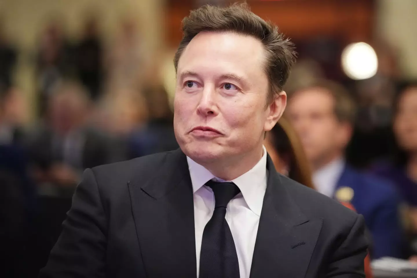 The tech mogul has announced his new AI project 'Macrohard' (Andrew Harnik/Getty Images)