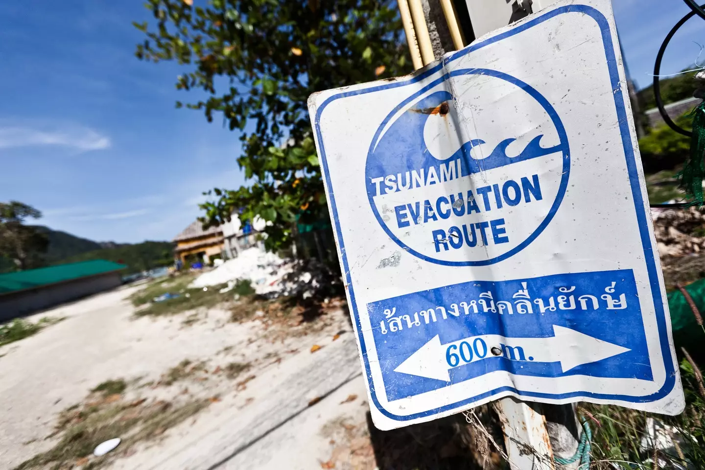 The tsunami killed 220,000 people (MoreISO/Getty Images)