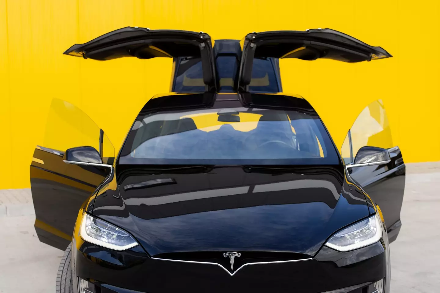 The key feature of Elon Musk’s Tesla is facing an industry-wide ban (Mykola Pokhodzhay/Getty Images)