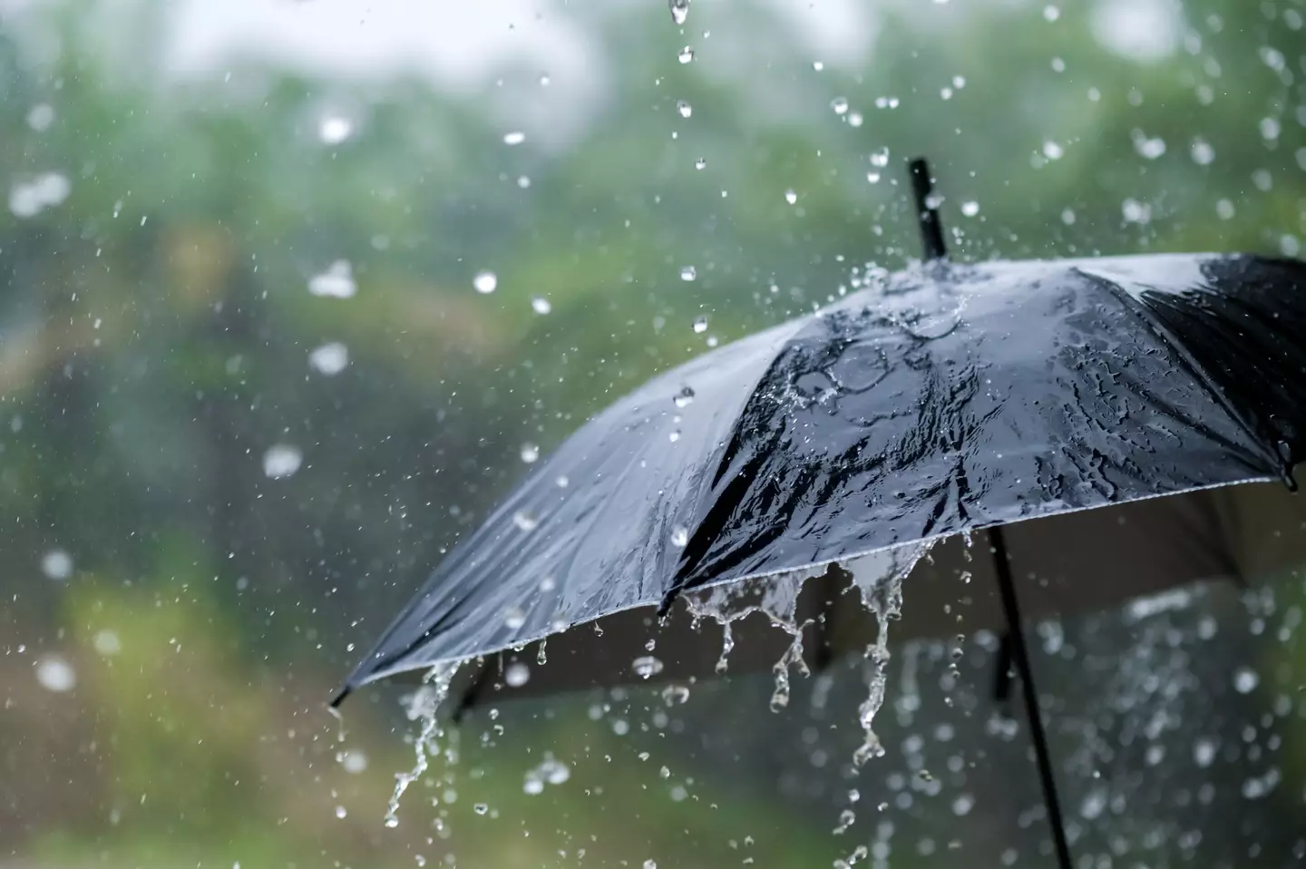 The weather was predicted to be sunny but it ended up being rainy and stormy (sarayut Thaneerat/Getty Images)