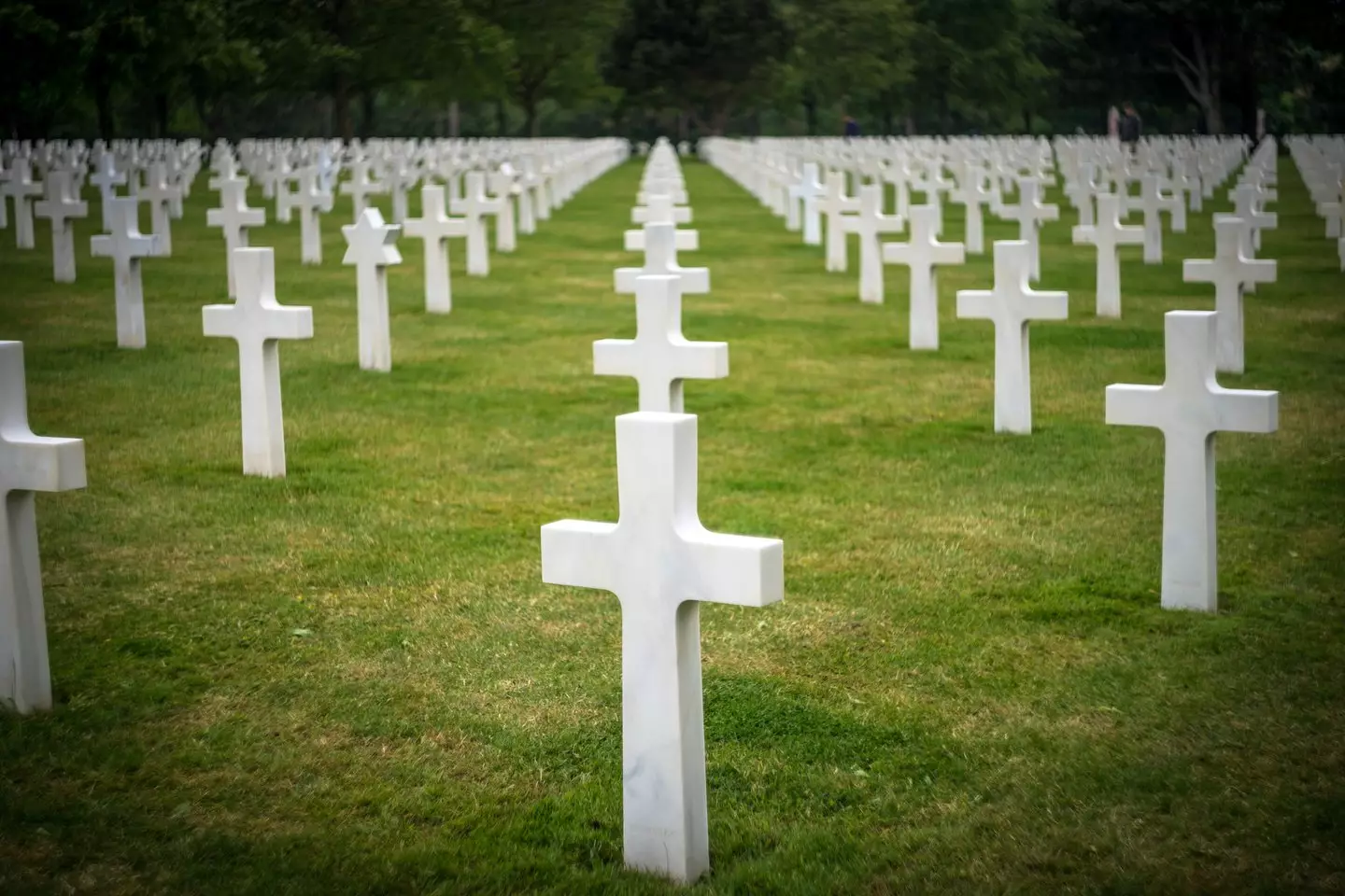 Americans are 2.6 times more likely to die as early adults than those in other rich countries (Chris McLoughlin/Getty Images)