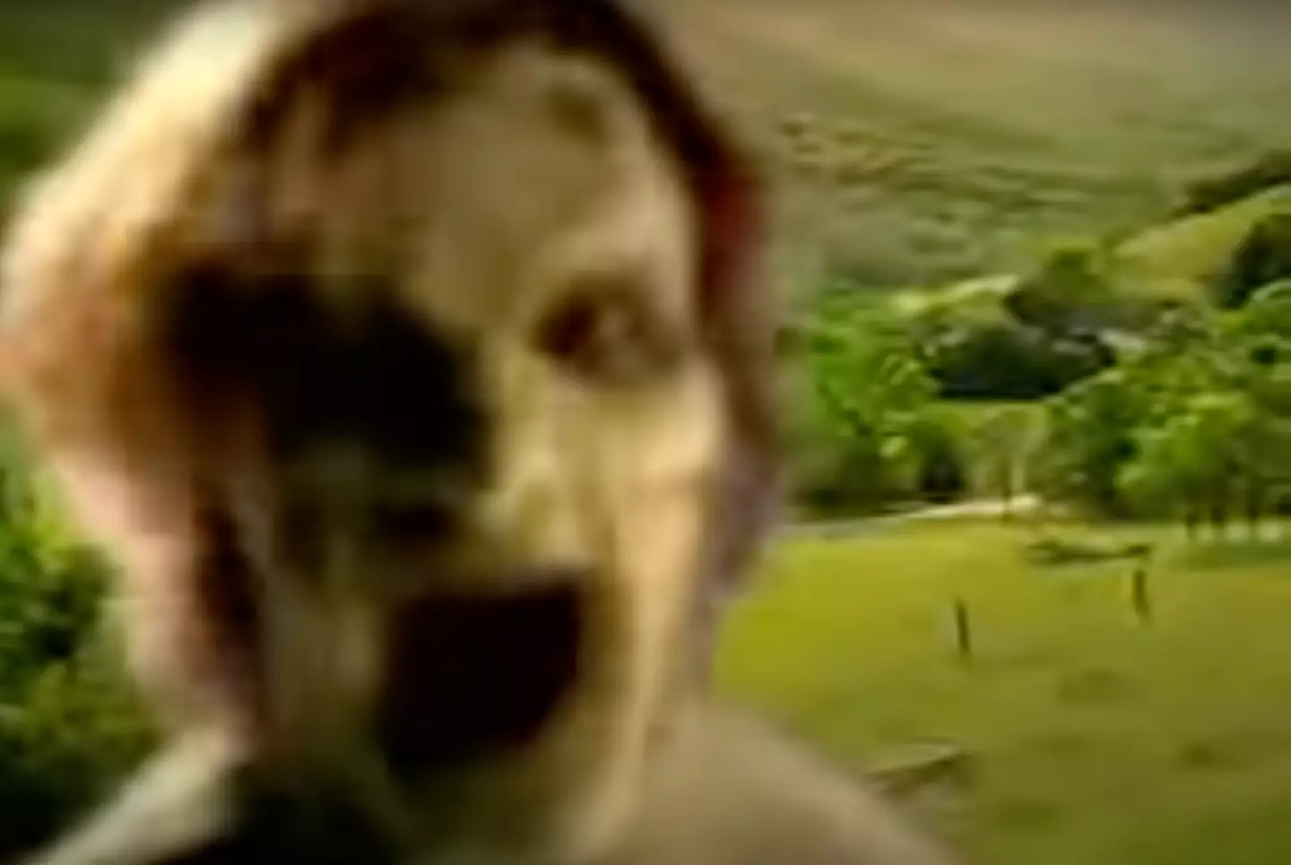 The jump scare terrified a generation (K-fee)