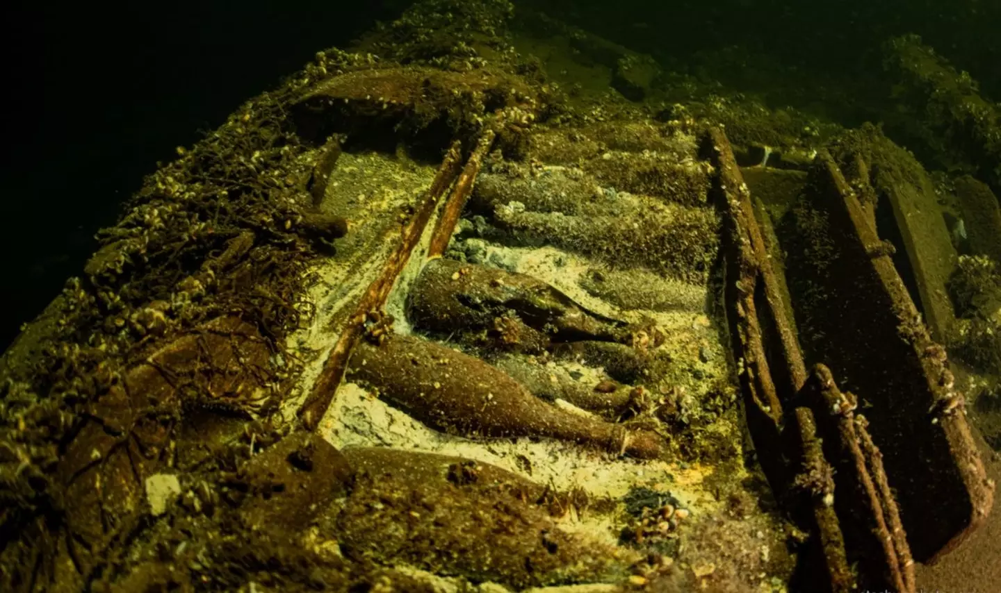 More than 100 bottles of champagne were uncovered. (AP/Tomasz Stachura)