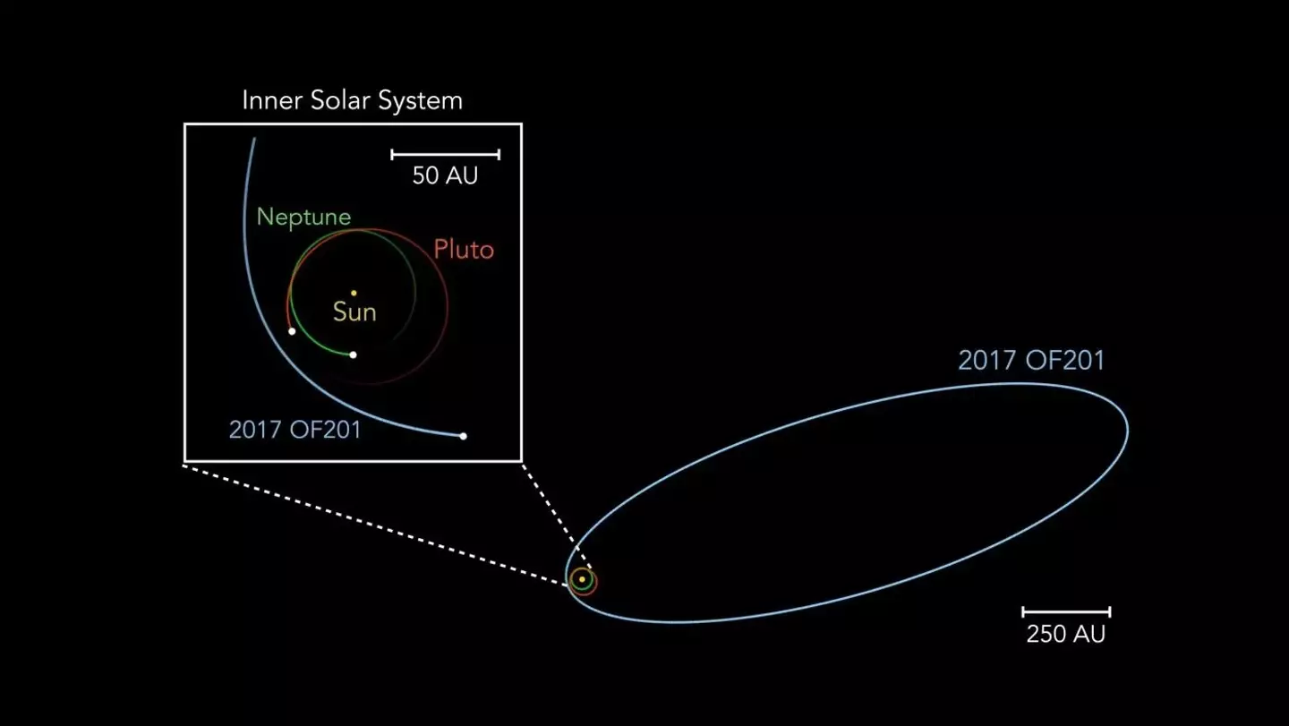 2017 OF201's orbital path is far larger than anything else within close proximity of the Sun (Jiaxuan Li/Sihao Cheng)