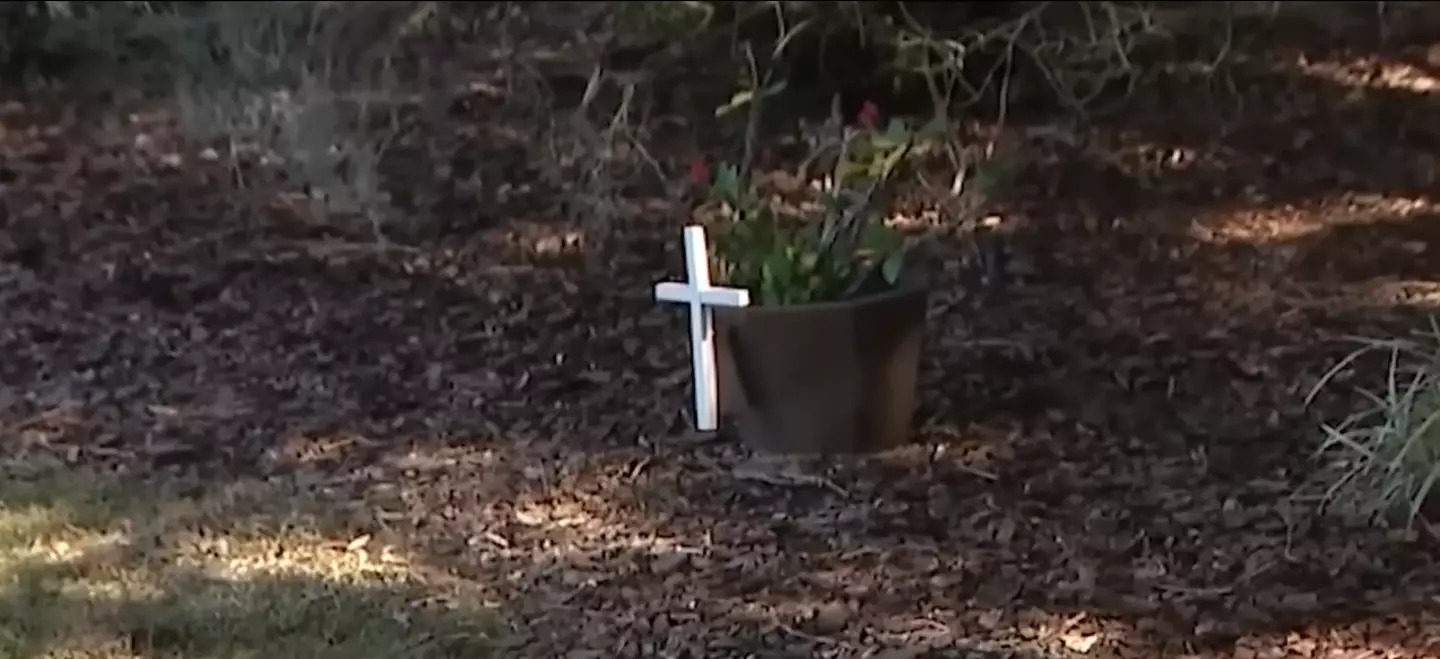 Wayne and Bonnie Anderson refused to remove the cross, and have ended up $70,000 better off because of it (Fox 35 Orlando)