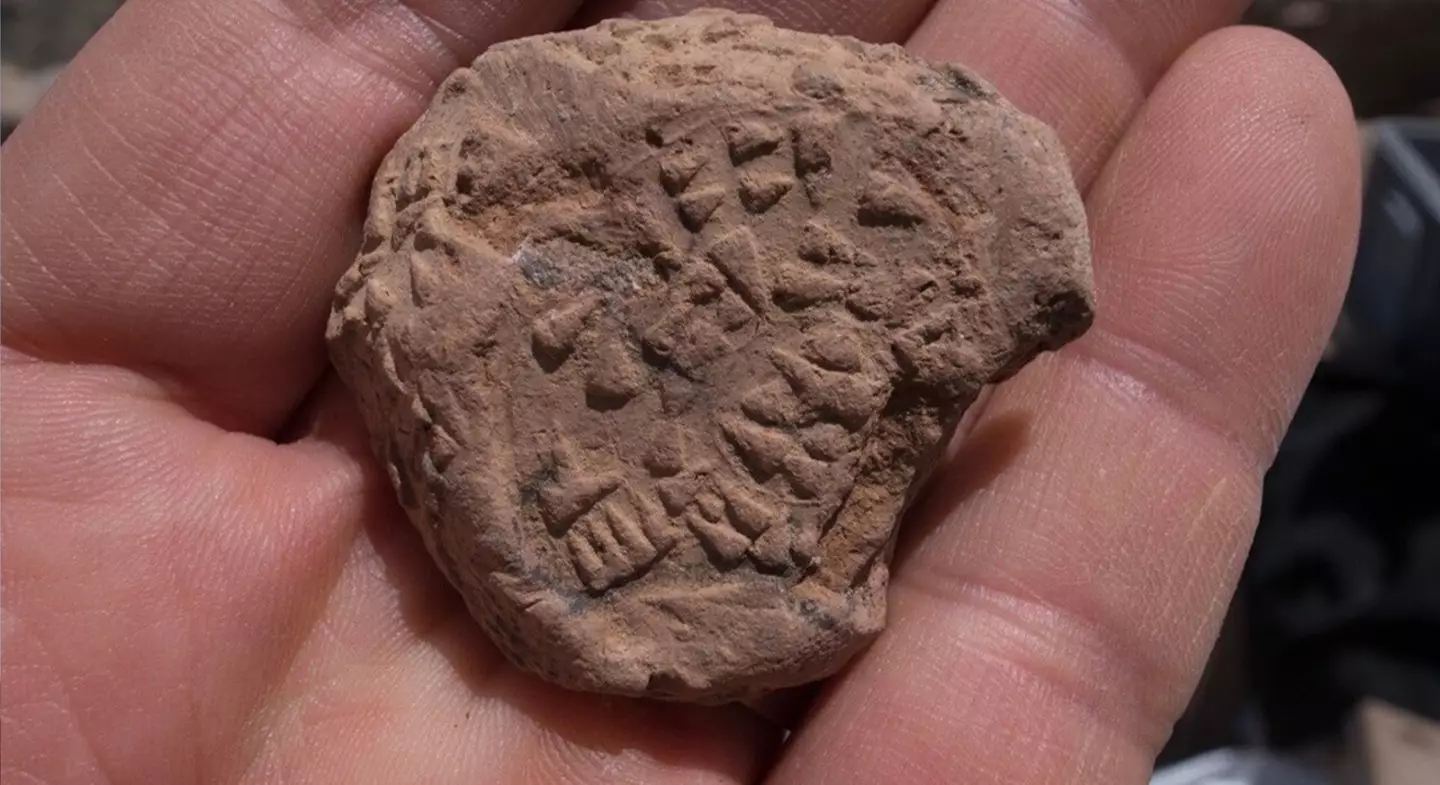 The seal comes with a serious warning (IHA Photo)