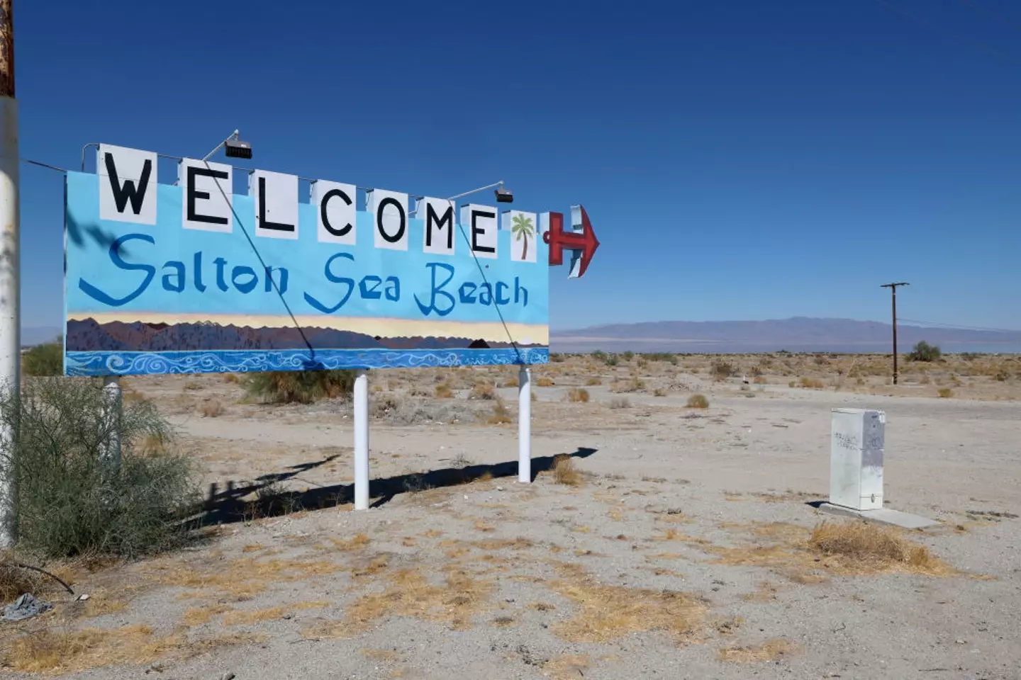 The huge discovery was made in California (Allen J. Schaben / Los Angeles Times via Getty Images)