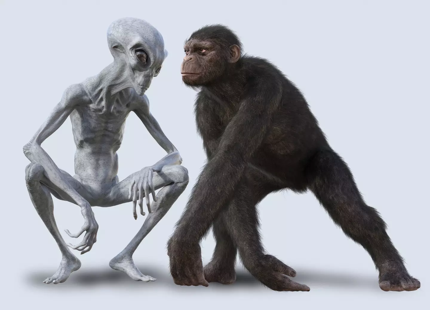 We will be taller with smaller brains, similar to how aliens are depicted (VICTOR HABBICK VISIONS/SCIENCE PHOTO LIBRARY/Getty Images)