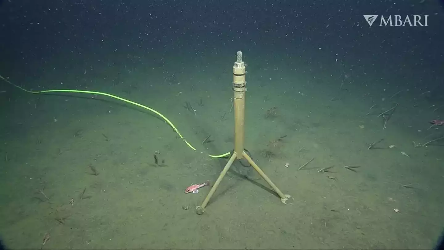 The hydrophone in question that recorded the whales (MBARI)