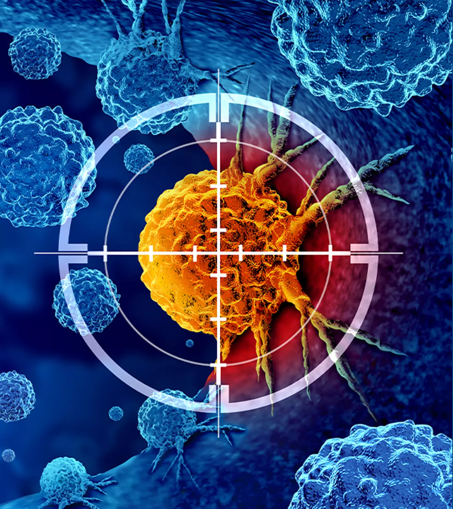 wildpixel / koto_feja / Getty