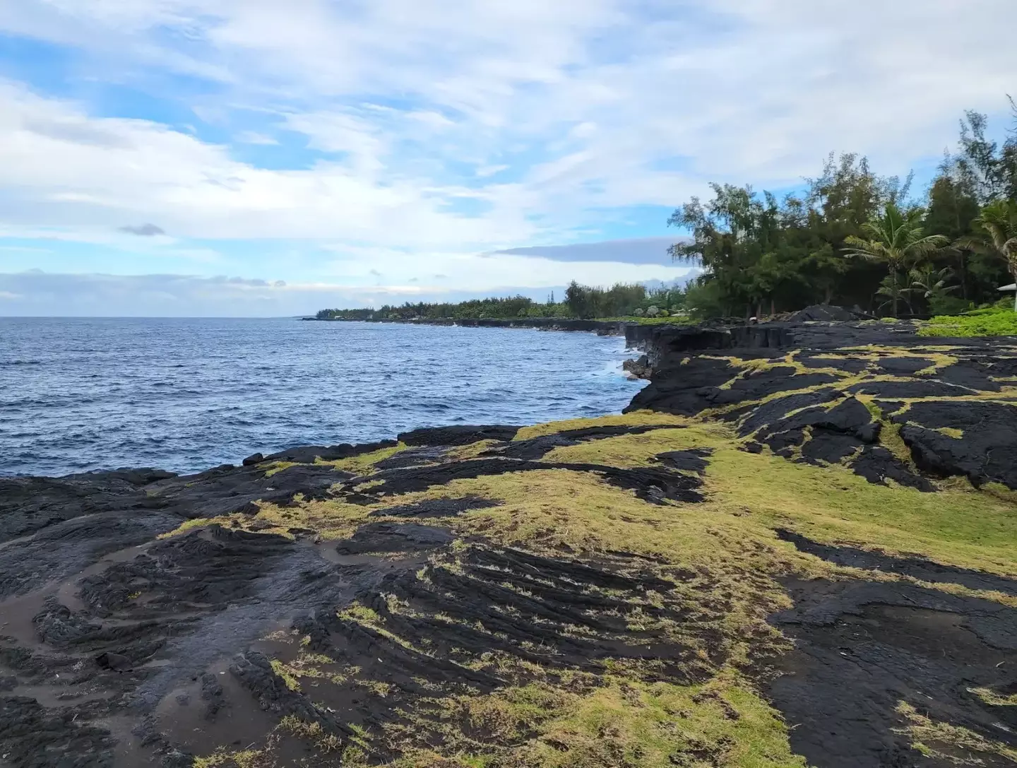 The 'normal' $22,000 plot in Hawaiian Paradise Park appeared to be far more complicated than it initially seemed (Hawaii Beaches)
