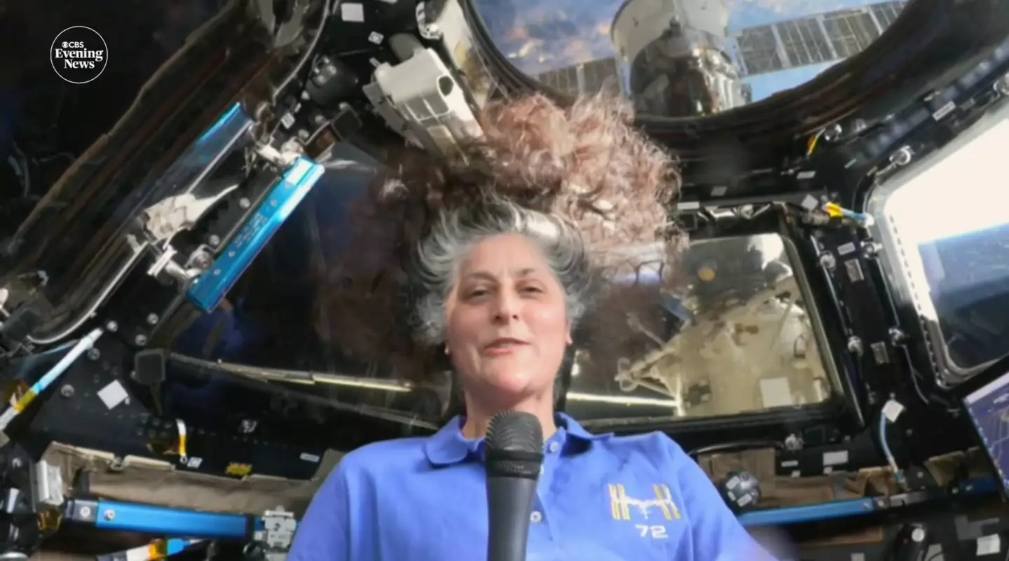 Sunita Williams says she doesn't feel 'stranded' in space (CBS Evening News)