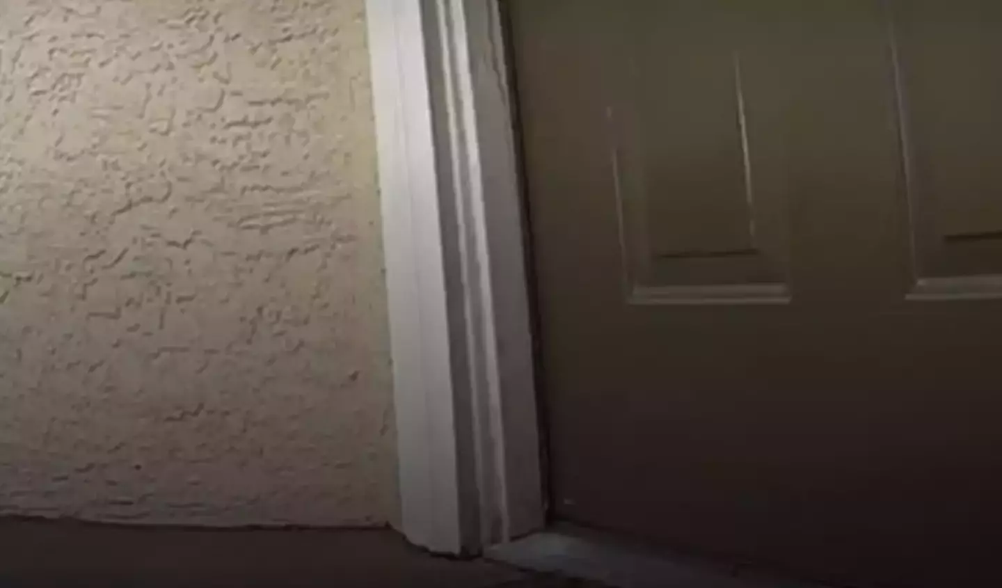 Their investigation into a 'weird chemical smell' in their apartment led to a shocking discovery about their neighbour (Umar Abdullah/Facebook)