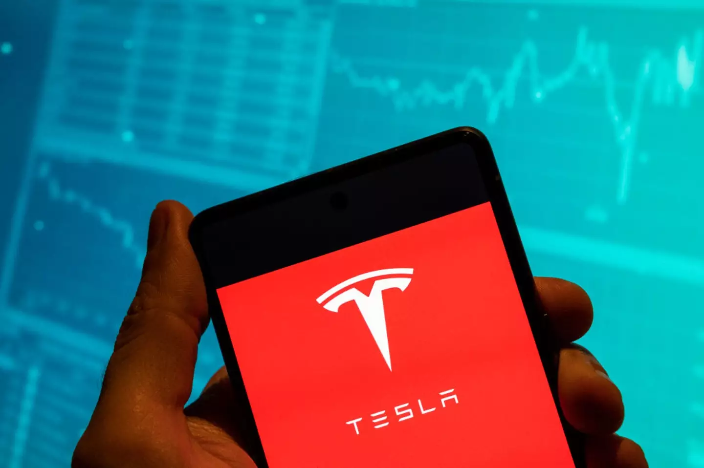 Tesla share prices have plummeted (Budrul Chukrut/SOPA Images/LightRocket via Getty Images)