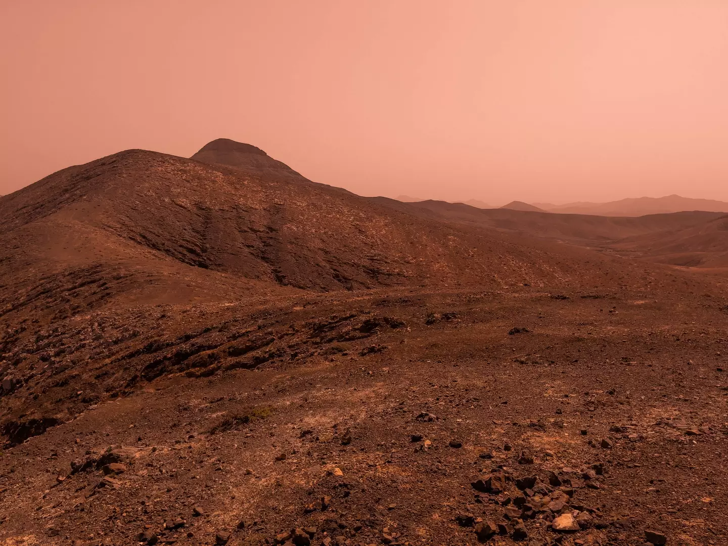 The Curiosity rover has been exploring Mars since 2011 (Artur Debat/Getty)
