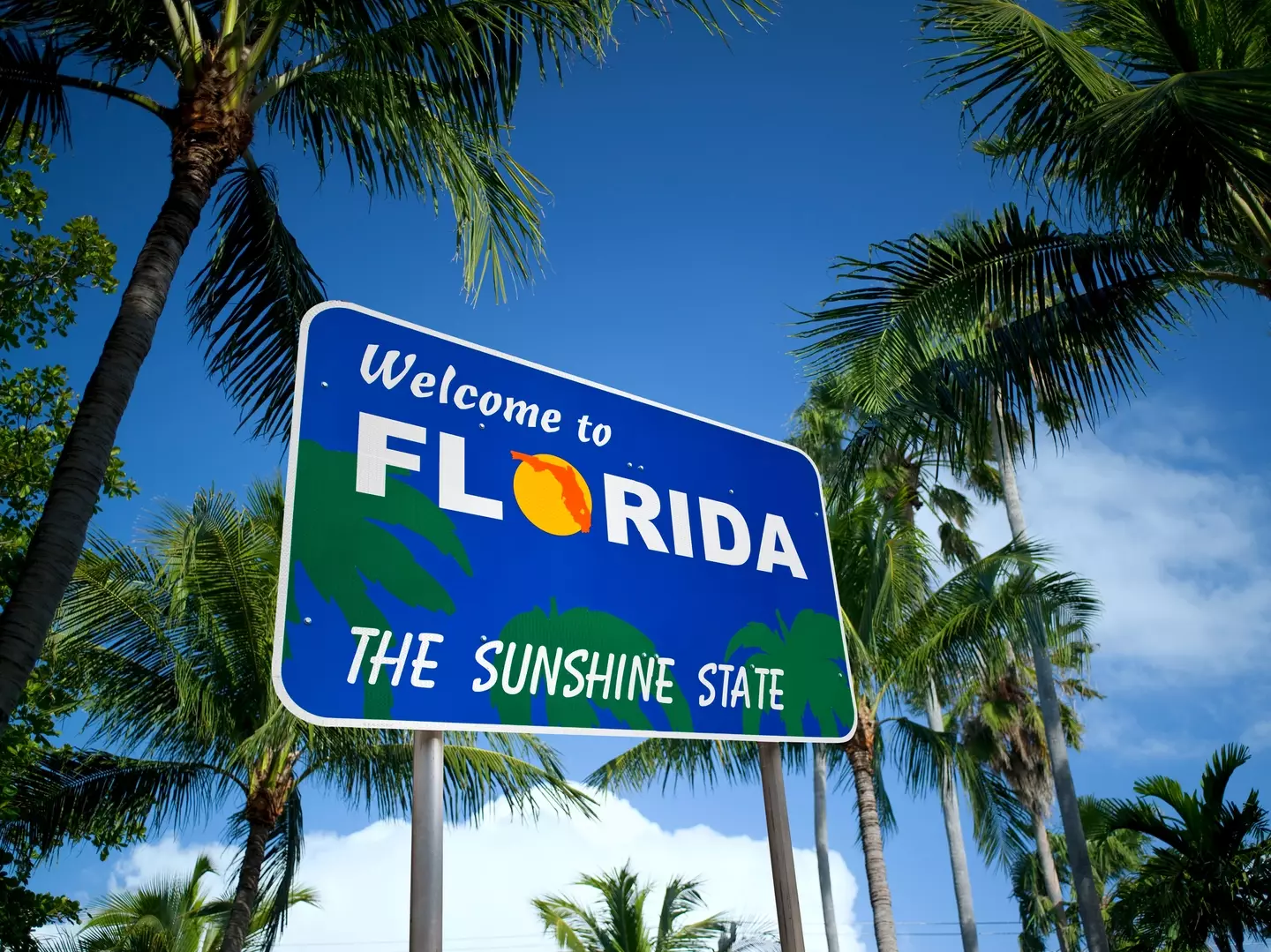 Florida has blocked the NSFW site (Pgiam/Getty Images)