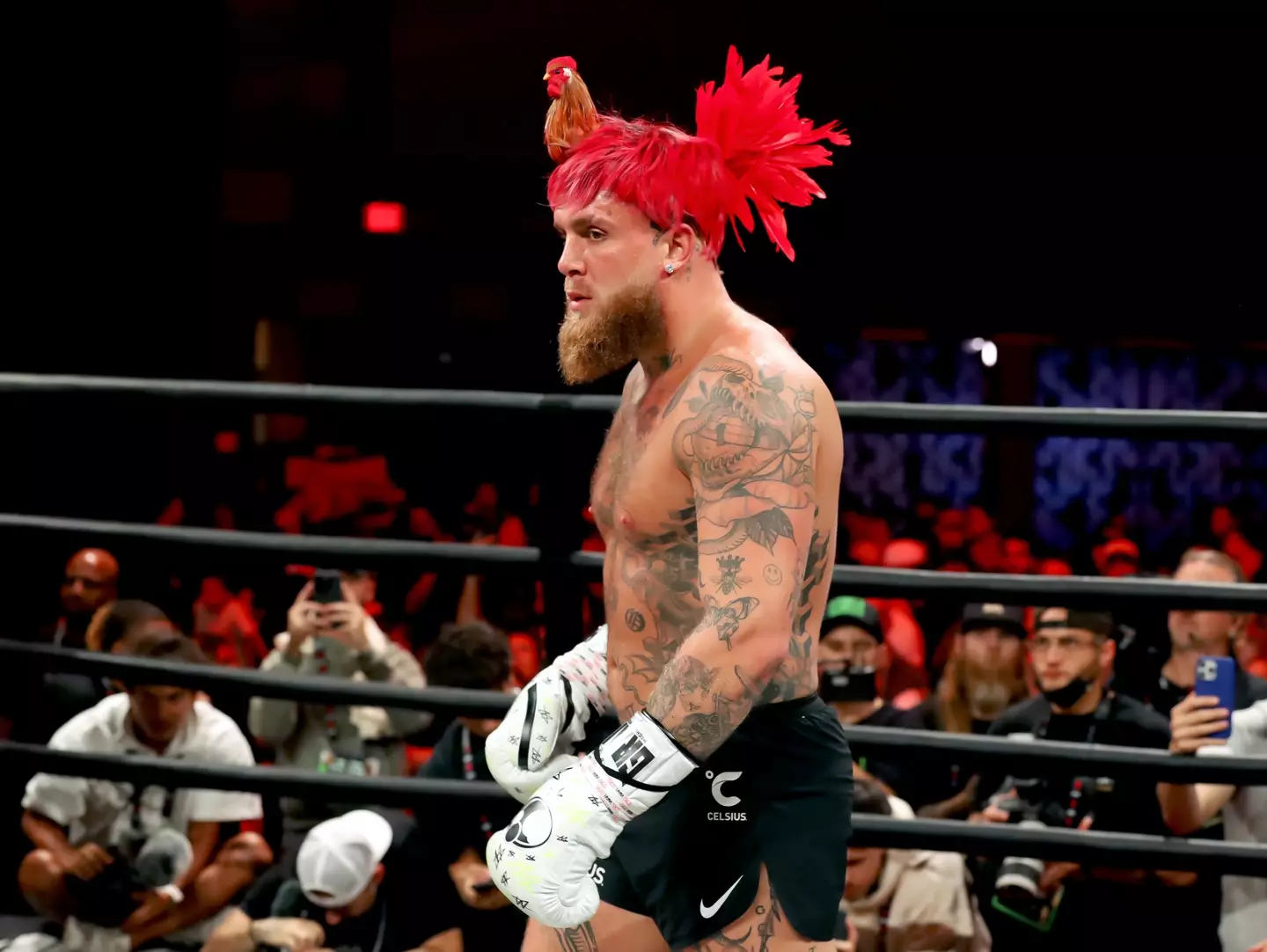 Both Tyson and Paul will be suspended following the fight (Ayisha Collins / Stringer / Getty)