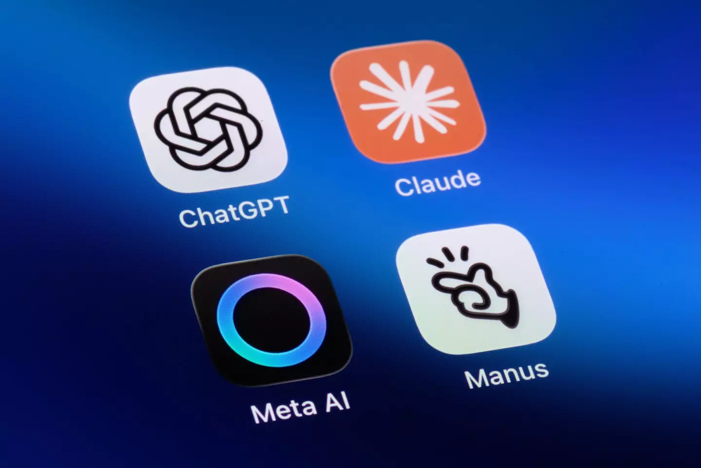 Anthropic has positioned Claude as the safer choice for businesses (Kenneth Cheung/Getty)