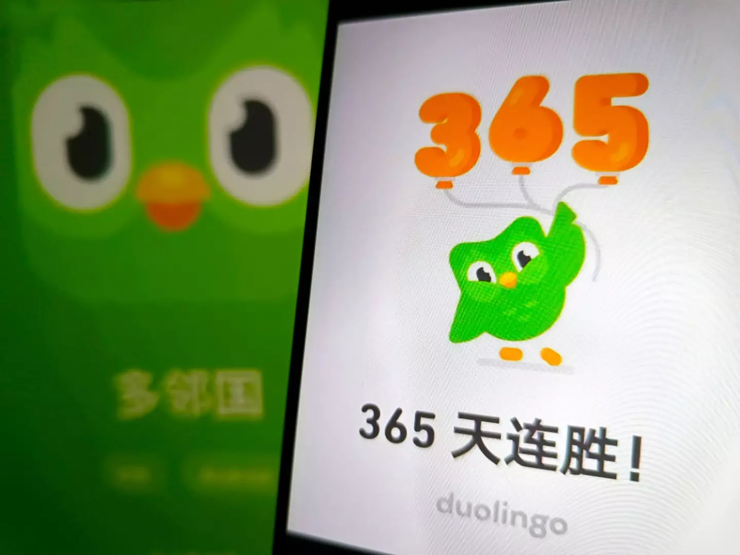 Duo the Owl could be 'cooked' by his critics (NurPhoto / Contributor / Getty)