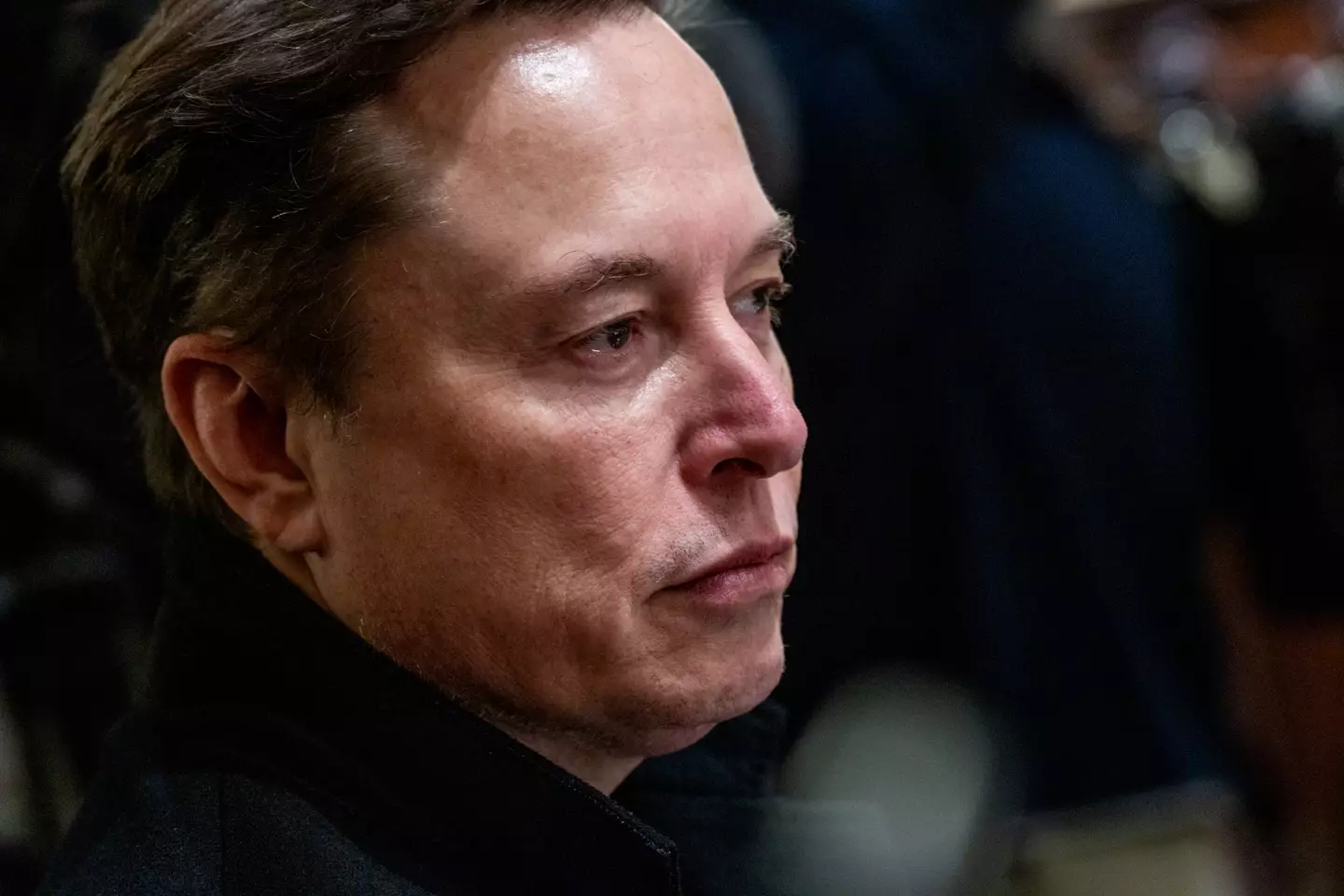 Elon Musk has weighed in on the case (Shawn Thew/EPA/Bloomberg via Getty Images)