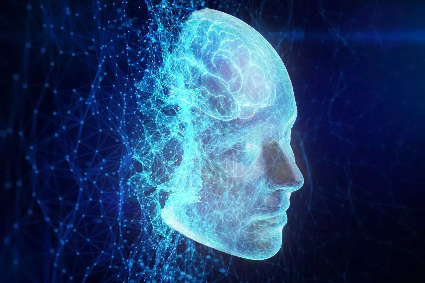 Anthropic argues that the question of AI consciousness is necessary (Yuichiro Chino/Getty)