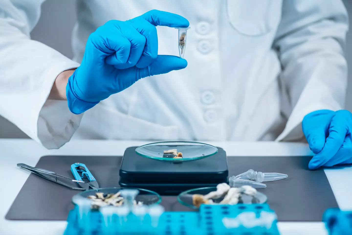 Microdosing is a growing trend that some swear by (MICROGEN IMAGES/SCIENCE PHOTO LIBRARY / Getty)