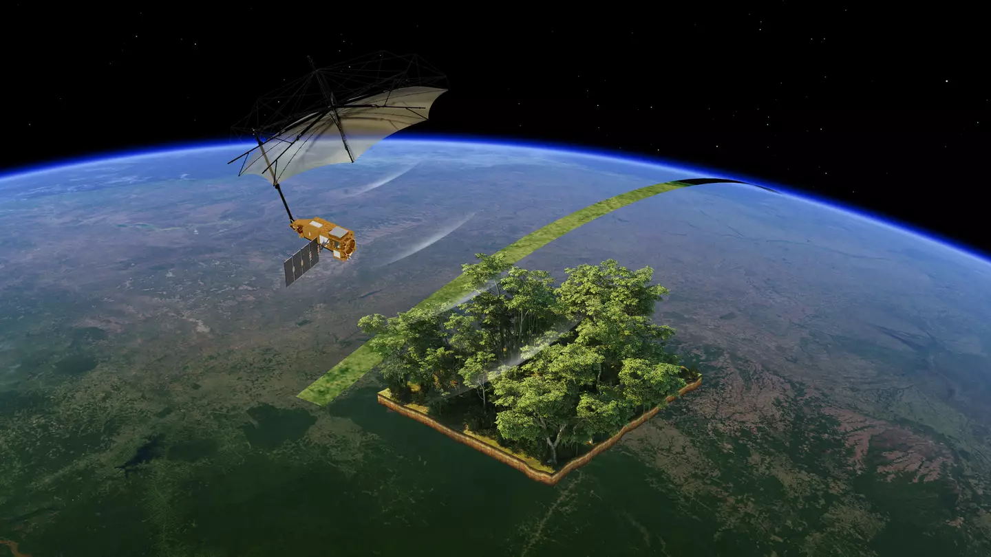 Biomass will provide data around the carbon storage of forests, highlighting the impact of deforestation (ESA)