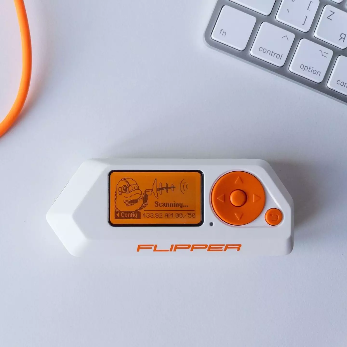 Interaction with the dolphin is the core game on the device (Instagram/@flipper_zero)