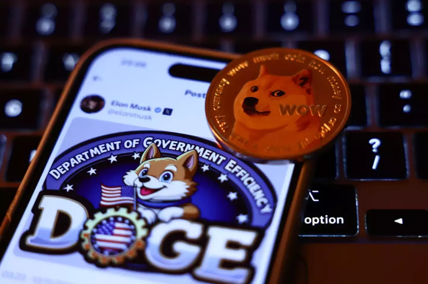 Dogecoin has surged in value (Jakub Porzycki/NurPhoto via Getty Images)