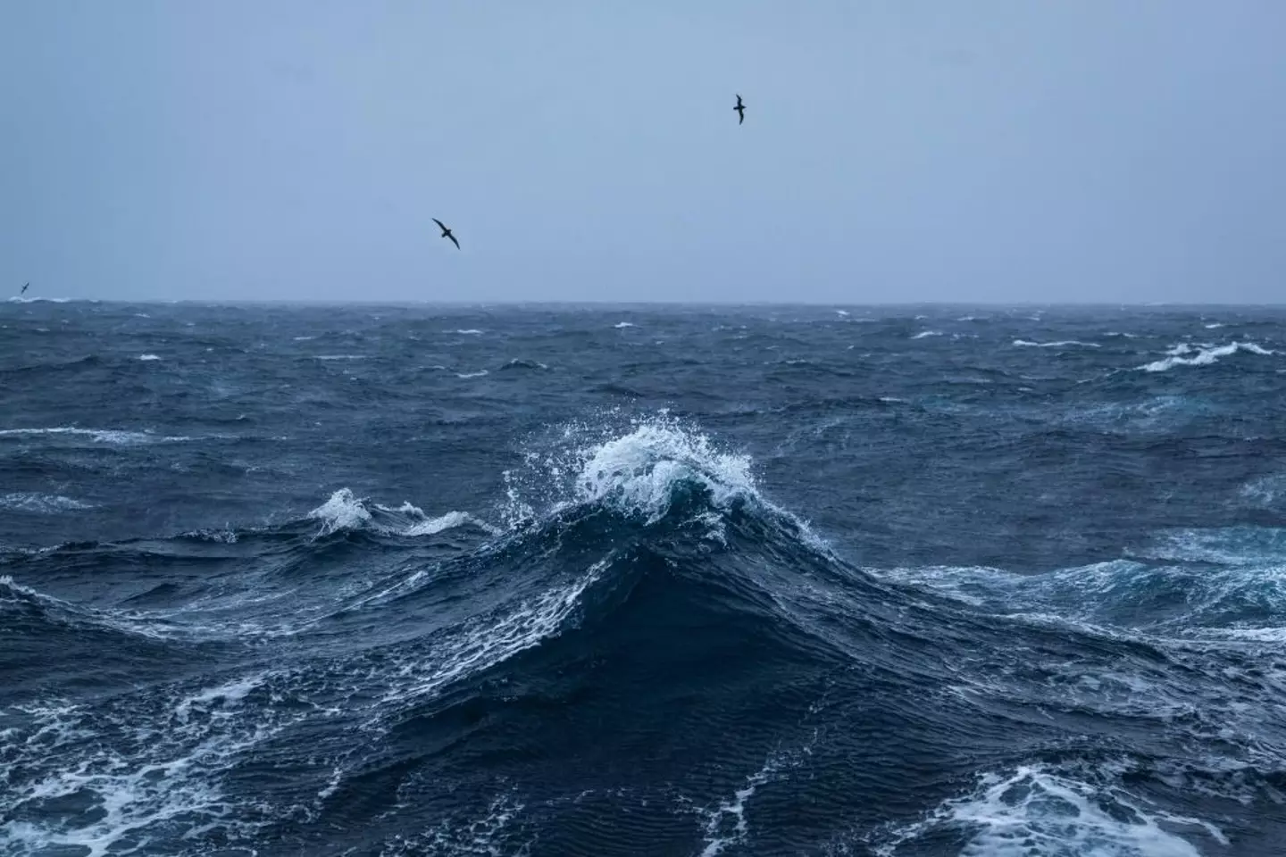 Haverly's plan would involve basalt at the bottom of the Kerguelen Plateau (Patrick Hertzog/AFP via Getty Images)