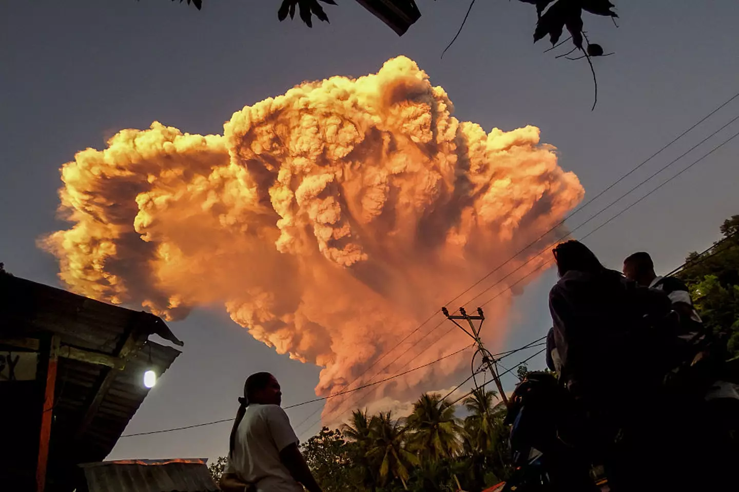 Mount Lewotobi Laki-laki erupted last June and has become increasingly active over recent months (STR/Contributor/Getty Images)