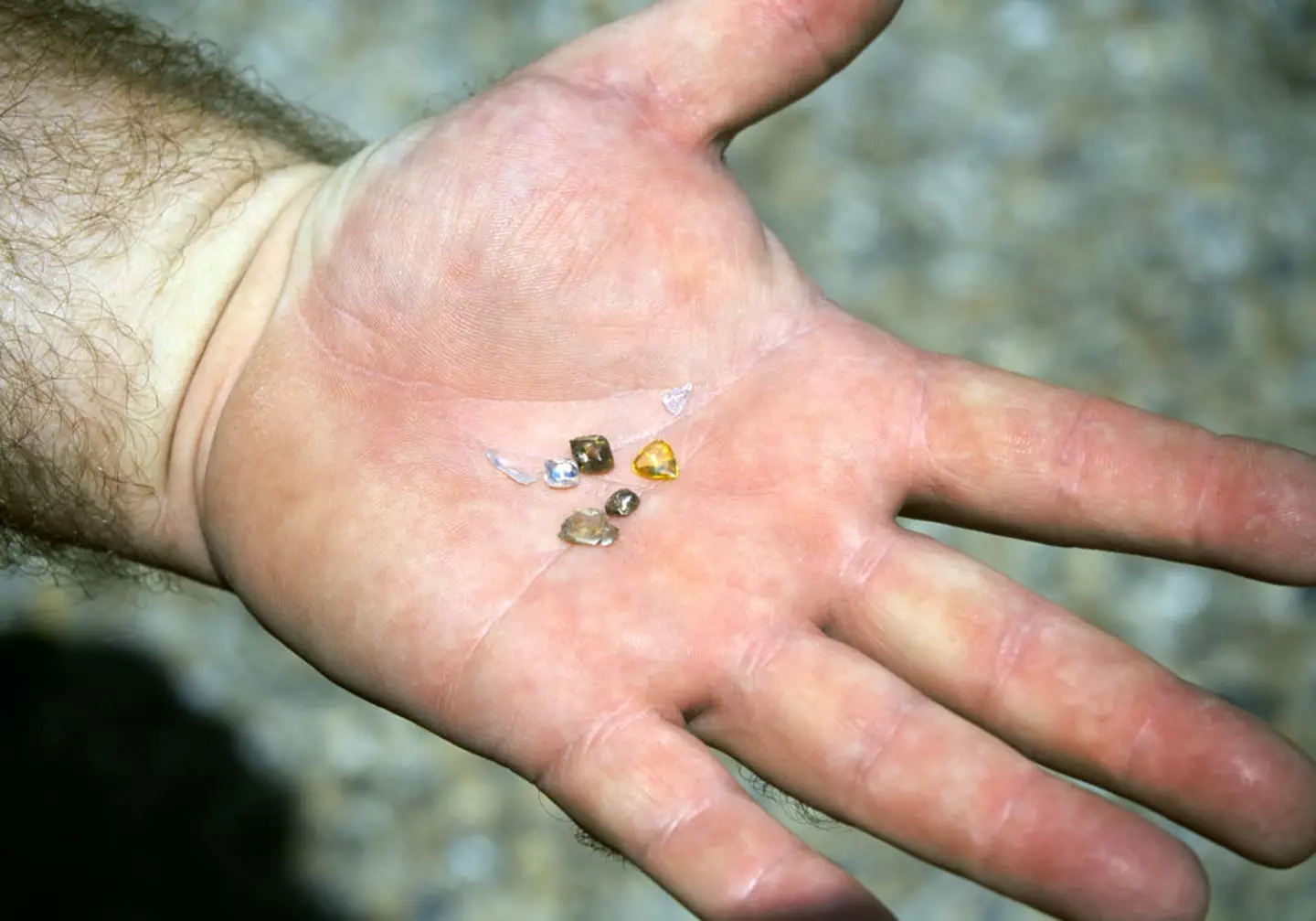 Several diamonds have been discovered in the park since 1906. (Buddy Mays / Contributor / Getty)