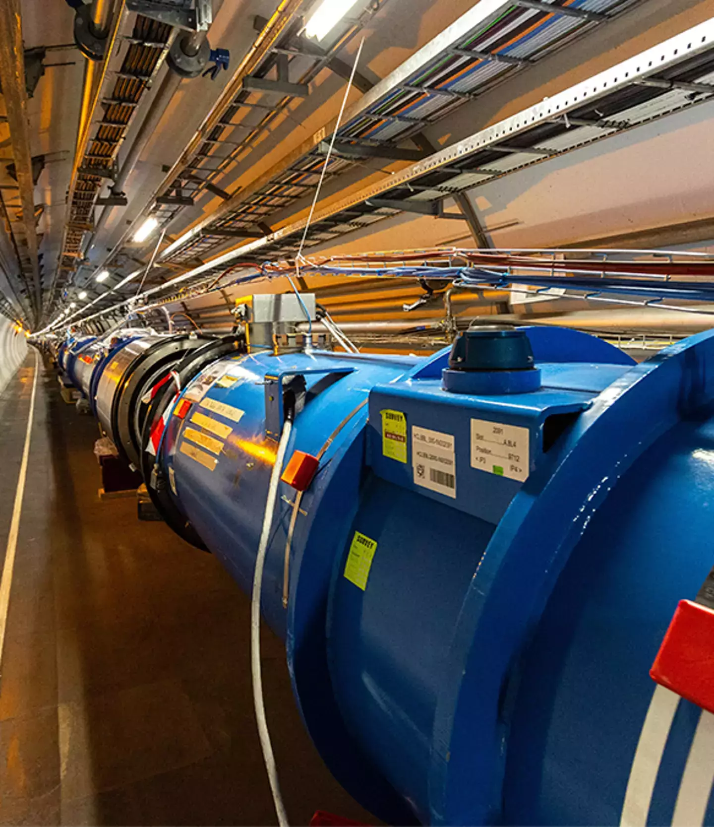 The particle collider will shut down again on October 28 (Ronald Patrick/Stringer via Getty)