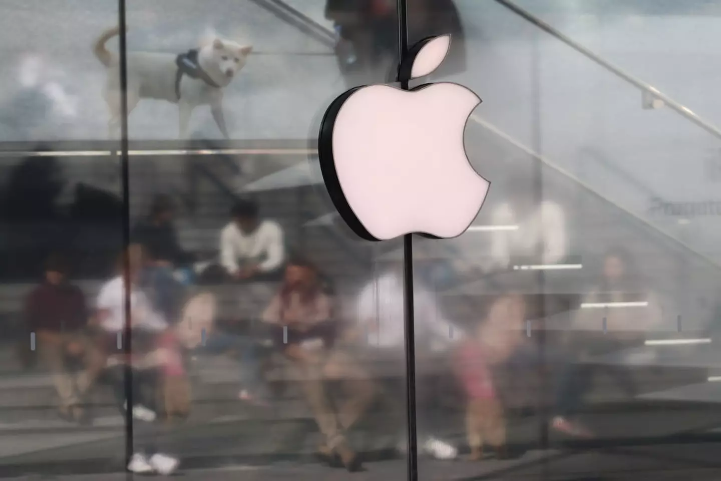 Apple's latest software update now allows you to transfer data from an iPhone/iPad onto your new Mac (Jakub Porzycki/NurPhoto via Getty Images)