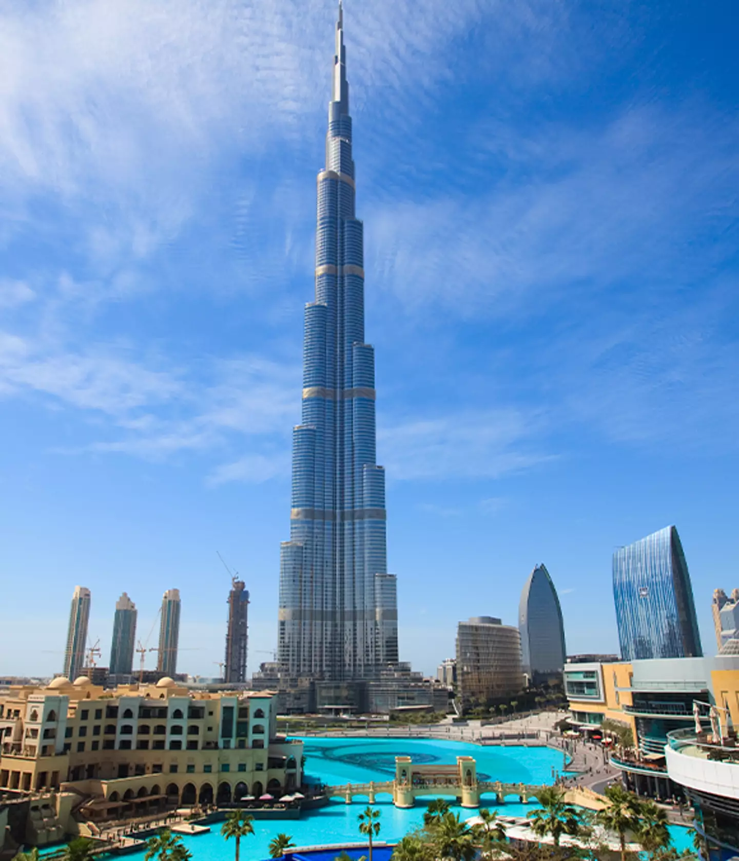 GIUSEPPE CACACE / Contributor / Fraser Hall / Getty